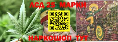 СК Лесосибирск
