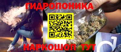 СК Лесосибирск