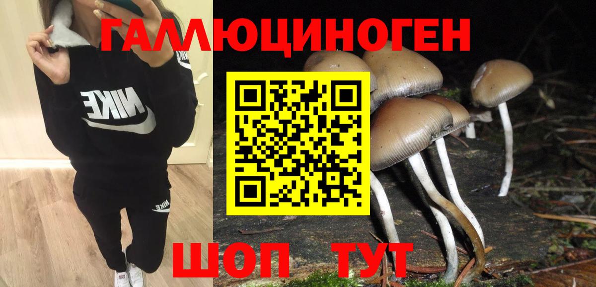 Дмитров  Галлюциногенные грибы Magic Shrooms  Вход с VPN 